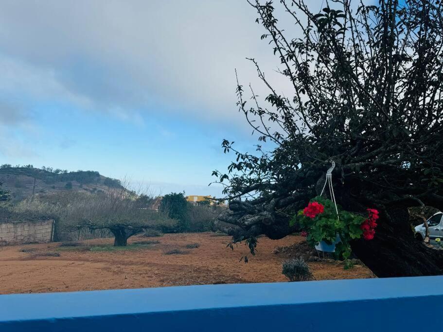 Villa La Casita De Rosi La Esperanza  Exterior foto